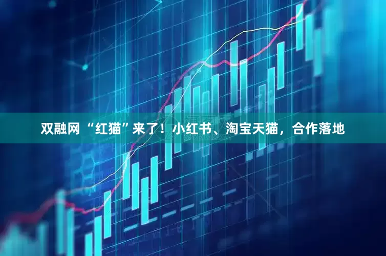 双融网 “红猫”来了！小红书、淘宝天猫，合作落地